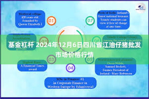 基金杠杆 2024年12月6日四川省江油仔猪批发市场价格行情