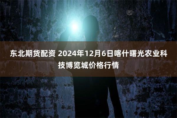 东北期货配资 2024年12月6日喀什曙光农业科技博览城价格行情