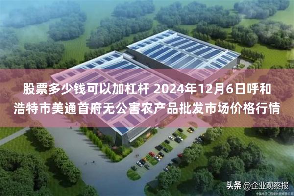 股票多少钱可以加杠杆 2024年12月6日呼和浩特市美通首府无公害农产品批发市场价格行情