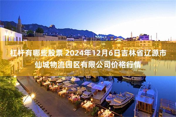 杠杆有哪些股票 2024年12月6日吉林省辽源市仙城物流园区有限公司价格行情