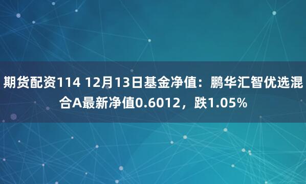 期货配资114 12月13日基金净值：鹏华汇智优选混合A最新净值0.6012，跌1.05%