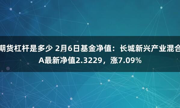 期货杠杆是多少 2月6日基金净值：长城新兴产业混合A最新净值2.3229，涨7.09%