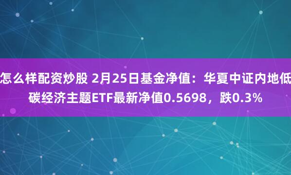 怎么样配资炒股 2月25日基金净值：华夏中证内地低碳经济主题ETF最新净值0.5698，跌0.3%