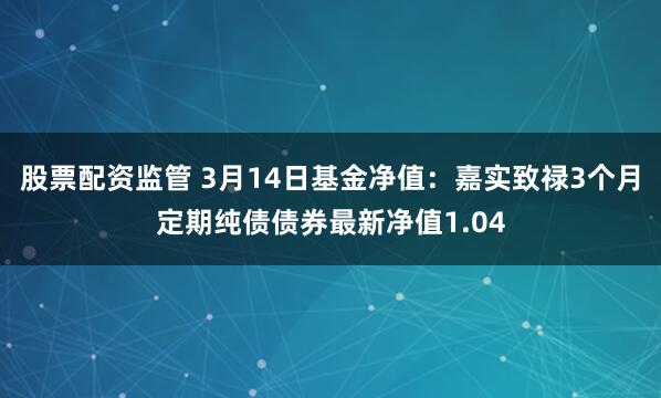 股票配资监管 3月14日基金净值：嘉实致禄3个月定期纯债债券最新净值1.04